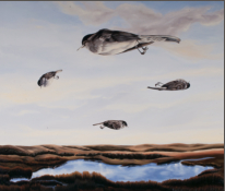 free as a bird-1996-olie/linnen-huile/toile-90x100cm
